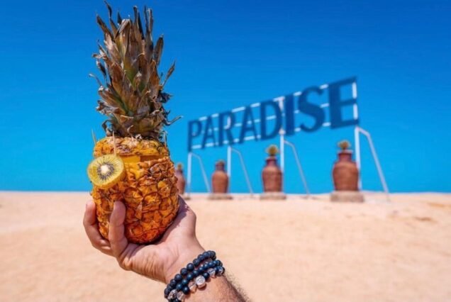 Paradise island full day snorkeling trip